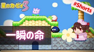 30_youtube_schedule22_shorts_kirby